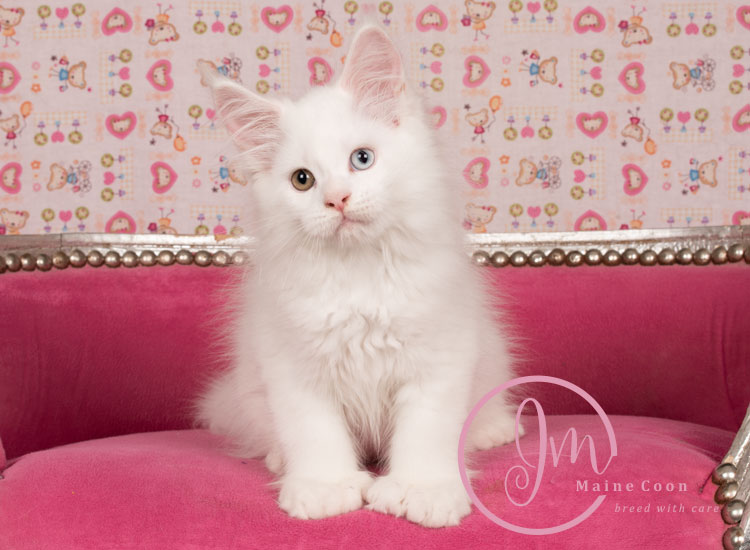 Kikærte_uge10_days00_05