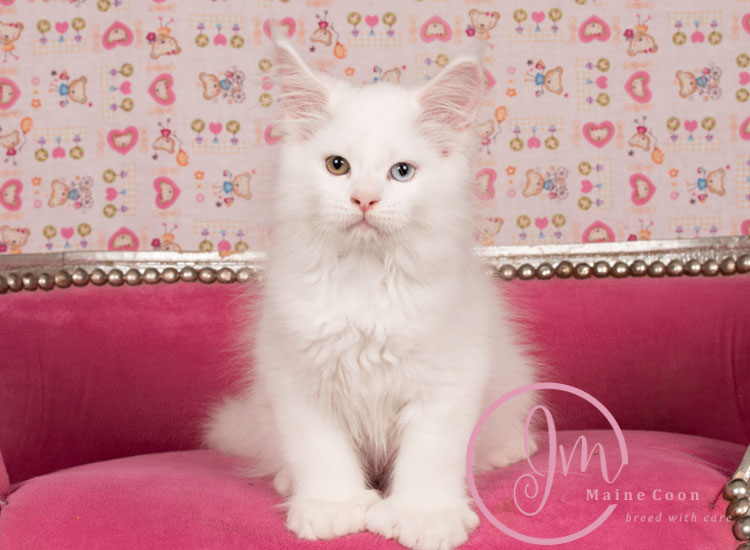 Kikærte_uge10_days00_06