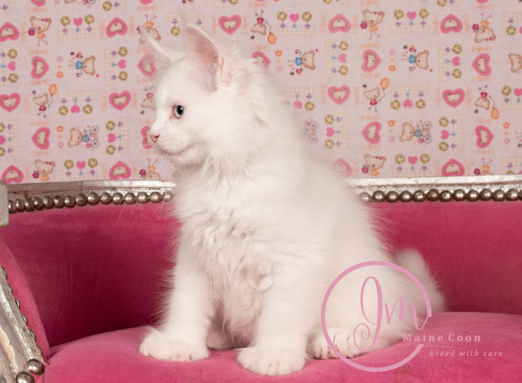 Kikærte_uge10_days00_09