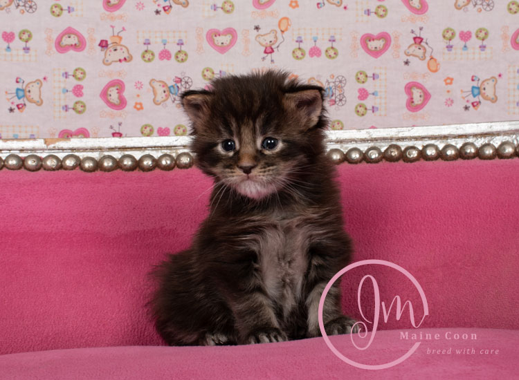 Genghis_Khan_week03_day01_01