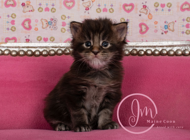 Genghis_Khan_week03_day01_04