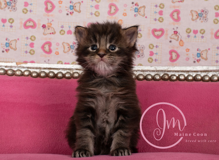 Genghis_Khan_week03_day01_06