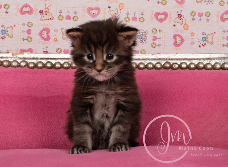 Genghis_Khan_week03_day01_07