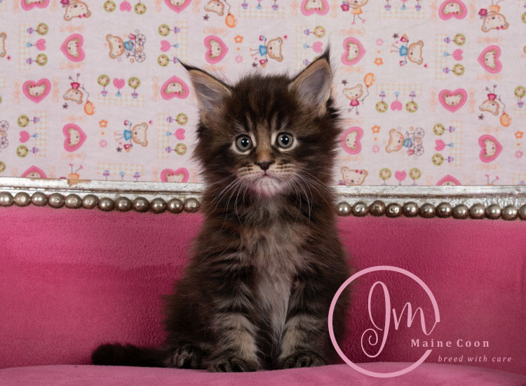 Genghis_Khan_week05_day01_02