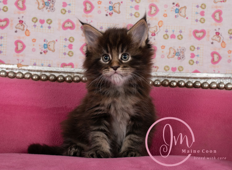 Genghis_Khan_week05_day01_03