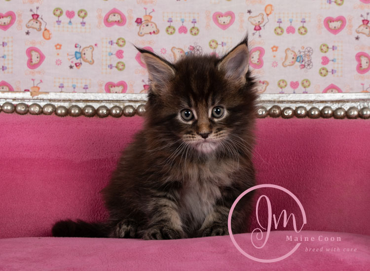 Genghis_Khan_week05_day01_04