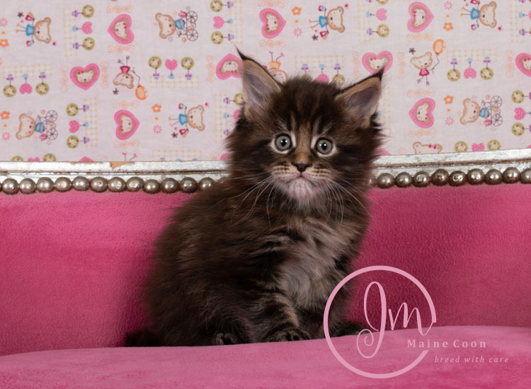 Genghis_Khan_week05_day01_05