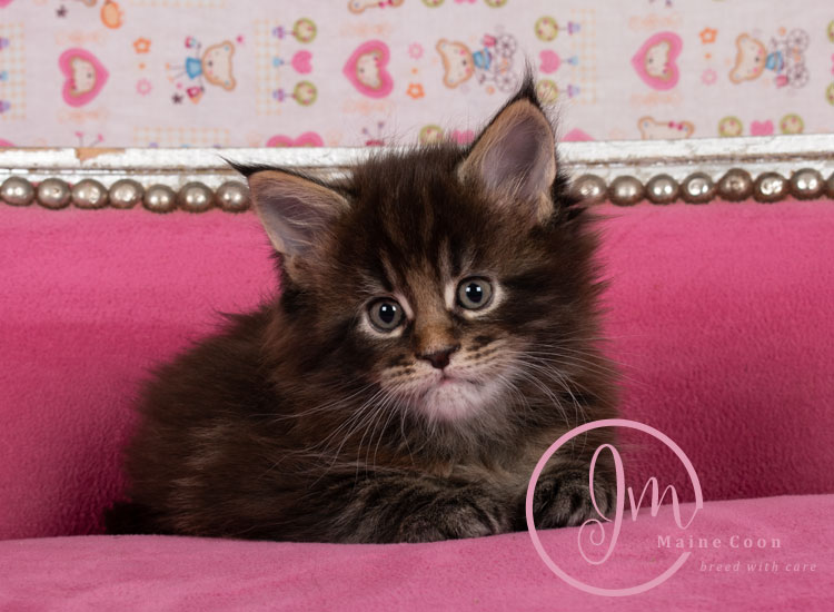 Genghis_Khan_week05_day01_07