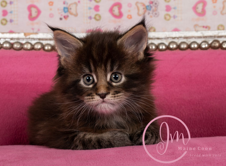 Genghis_Khan_week05_day01_10