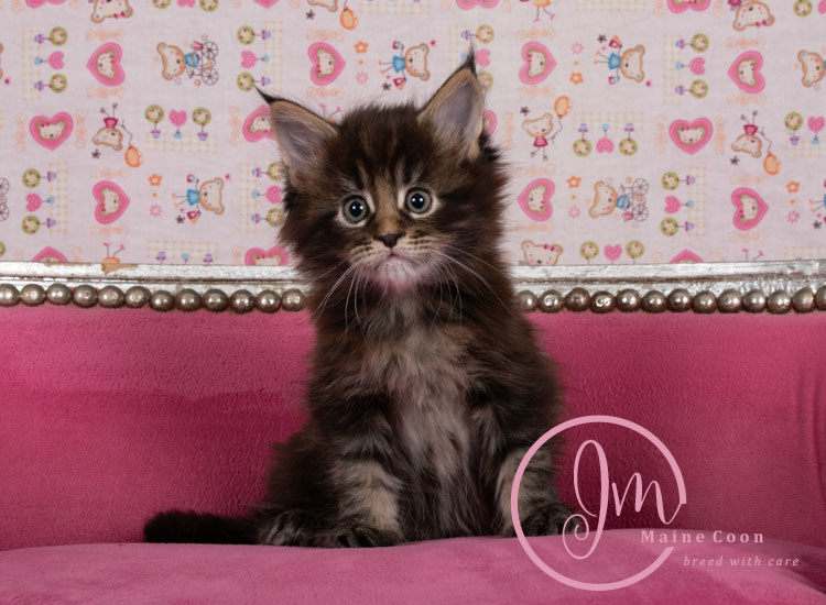 Genghis_Khan_week05_day01_101