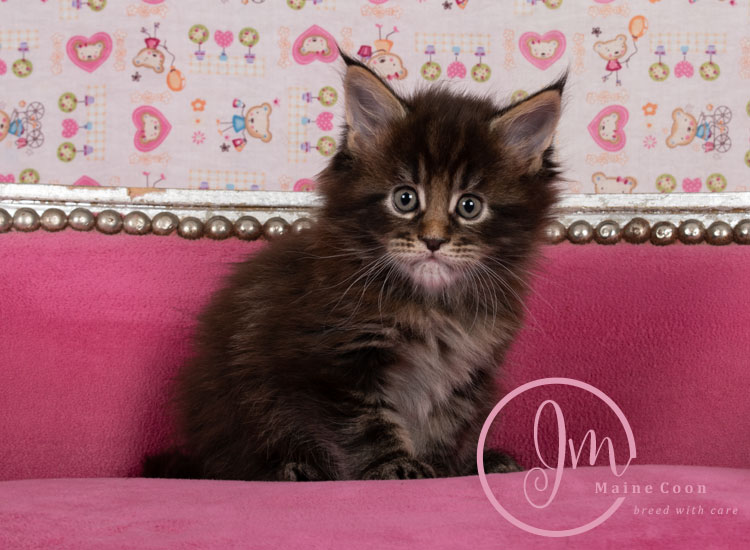 Genghis_Khan_week05_day01_11