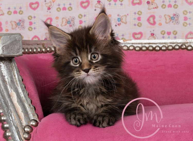 Genghis_Khan_week07_day01_04