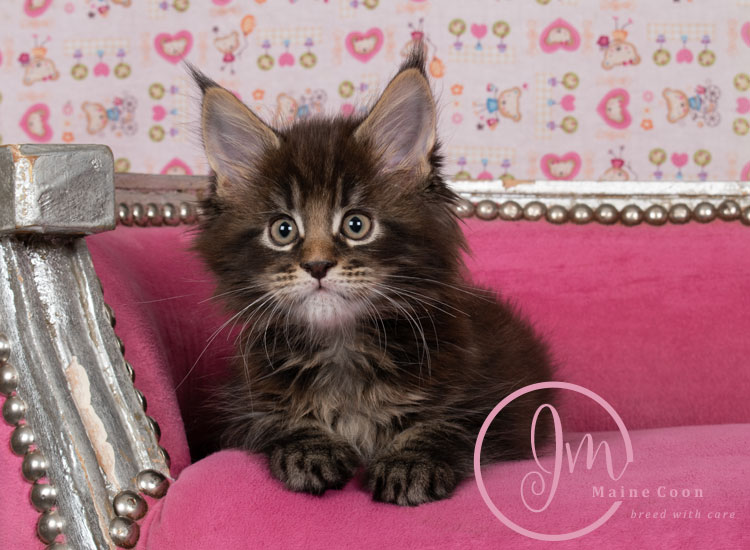 Genghis_Khan_week07_day01_05