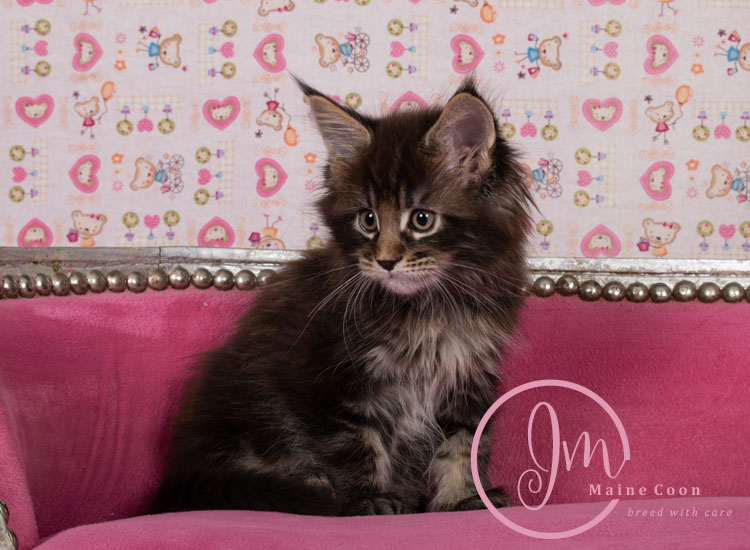 Genghis_Khan_week07_day01_06