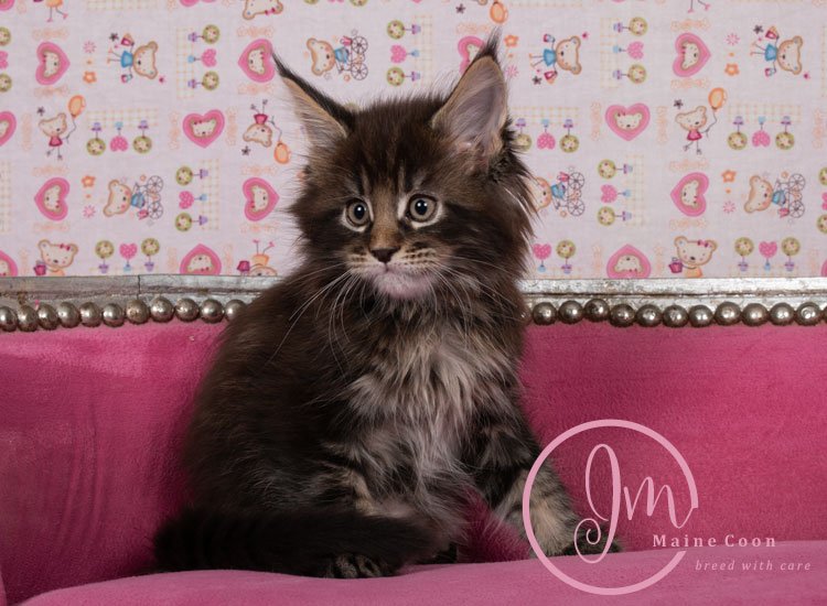 Genghis_Khan_week07_day01_07