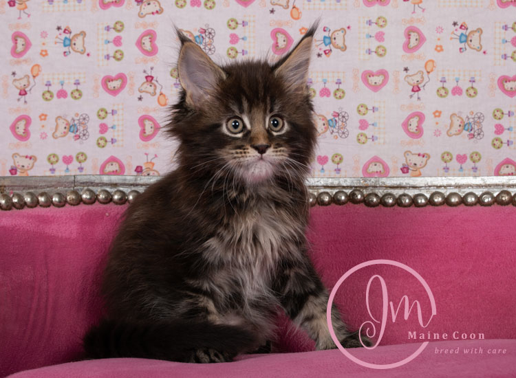 Genghis_Khan_week07_day01_08