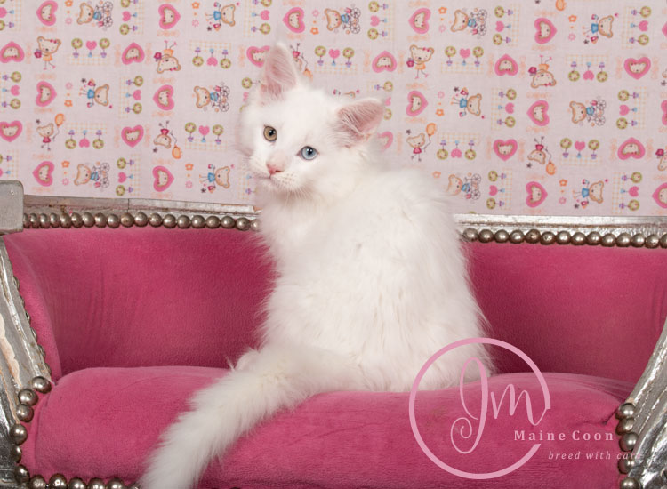 White-Eagle_week10_08