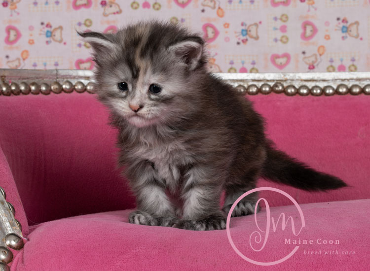 Kalamataweek-03-week_01