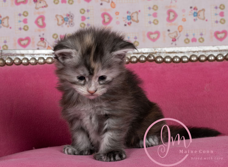 Kalamataweek-03-week_02