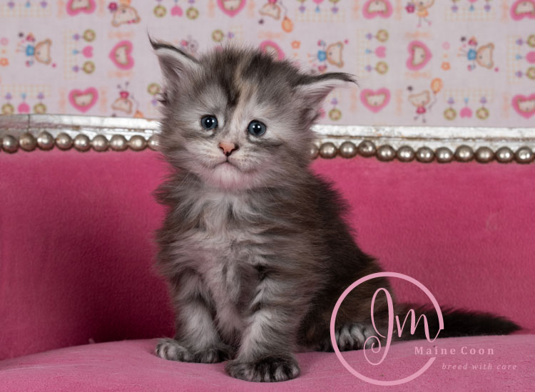 Kalamataweek-03-week_04