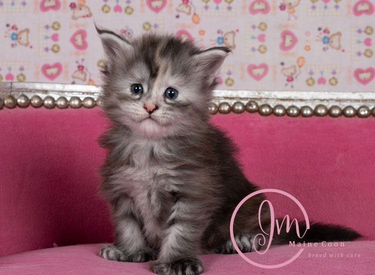 Kalamataweek-03-week_05