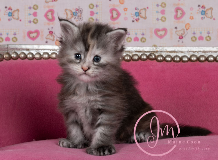 Kalamataweek-03-week_06