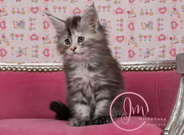 Kalamataweek-08-week_05