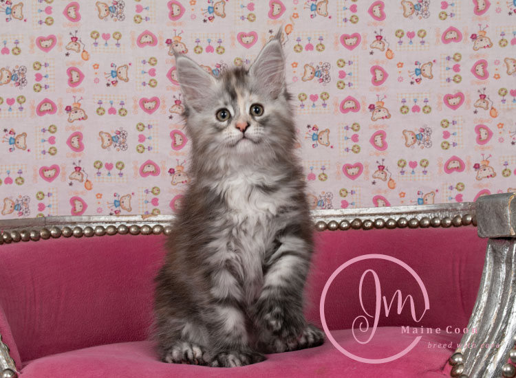 Kalamataweek-10-week_01