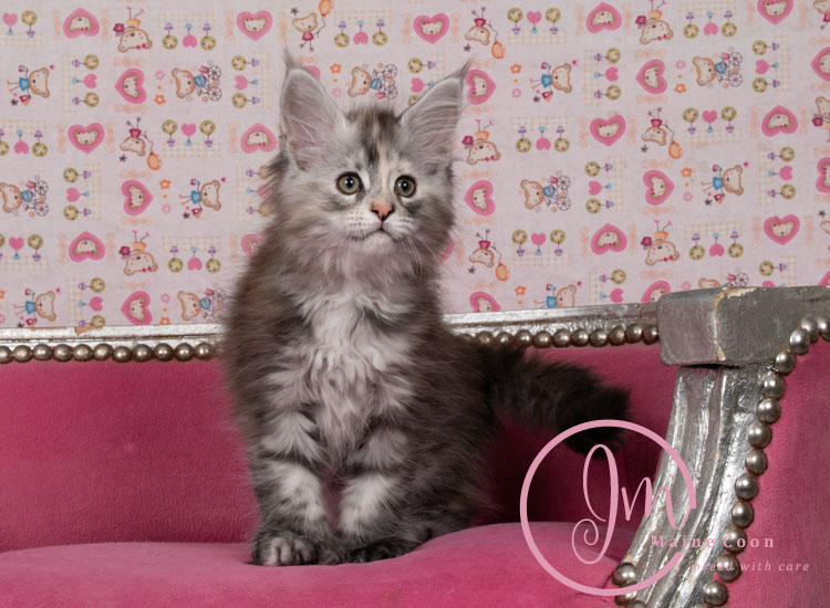 Kalamataweek-10-week_03