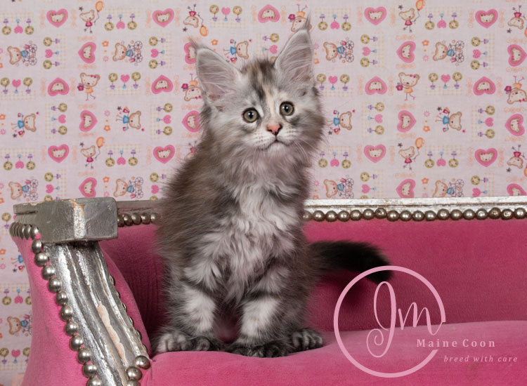 Kalamataweek-10-week_05