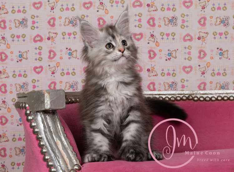 Kalamataweek-10-week_06