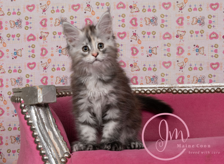 Kalamataweek-10-week_07