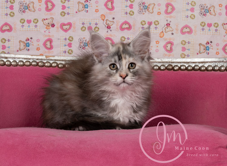 Kalamataweek-12-week_01