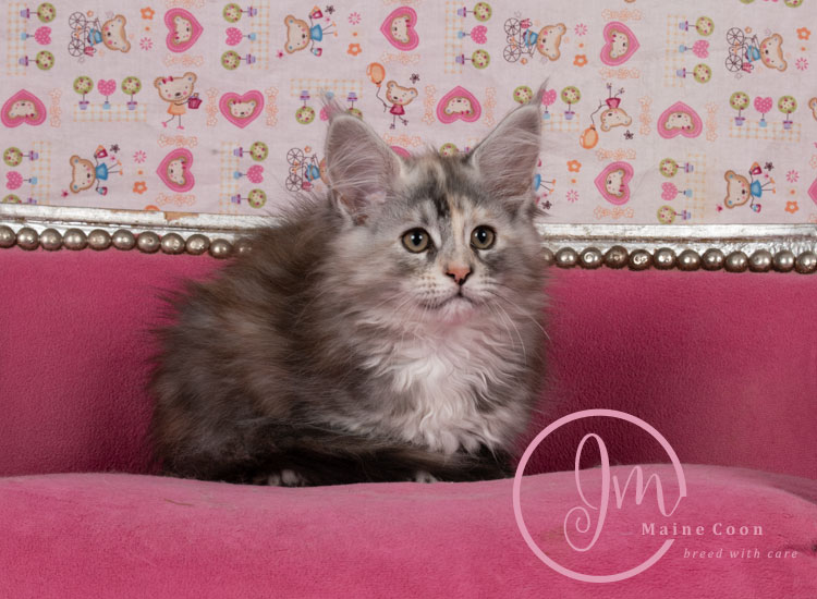 Kalamataweek-12-week_02