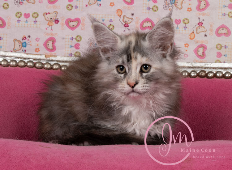 Kalamataweek-12-week_03