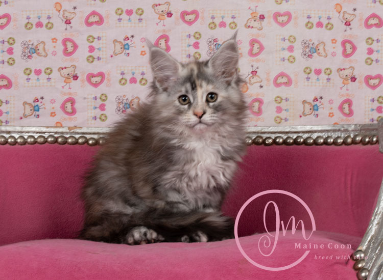 Kalamataweek-12-week_04