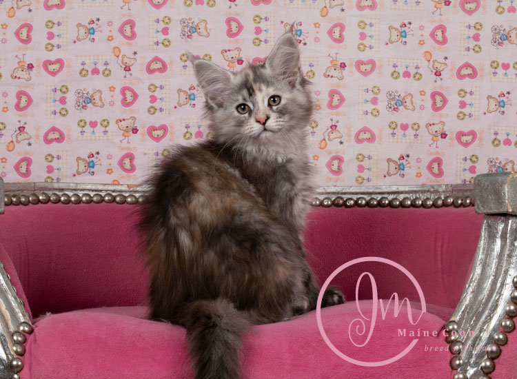 Kalamataweek-12-week_05