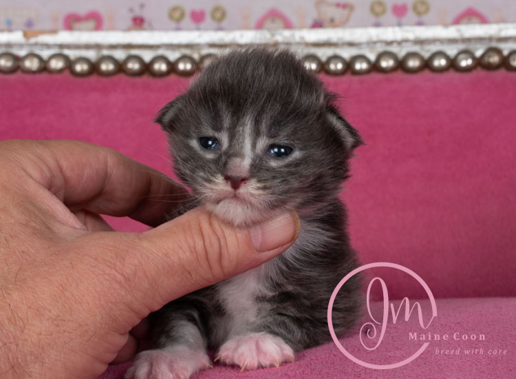 Manzanilla_week01_days_4_01