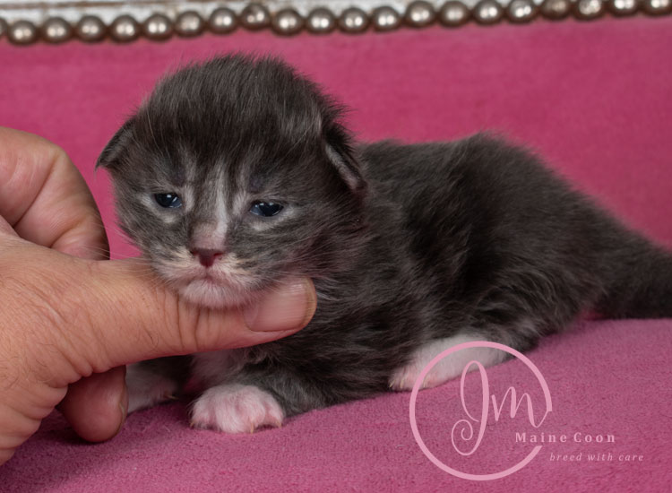 Manzanilla_week01_days_4_02