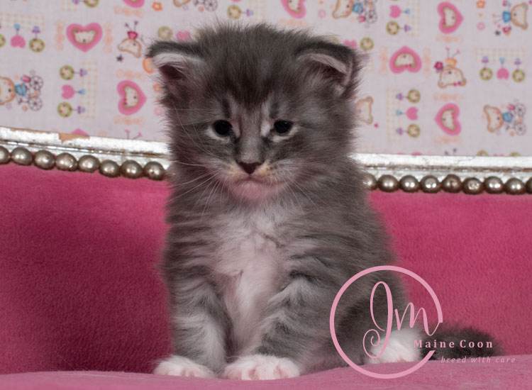 Manzanilla_week03_days_4_01