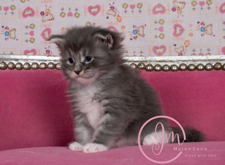 Manzanilla_week03_days_4_02