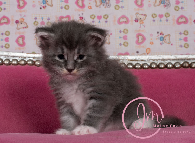 Manzanilla_week03_days_4_03