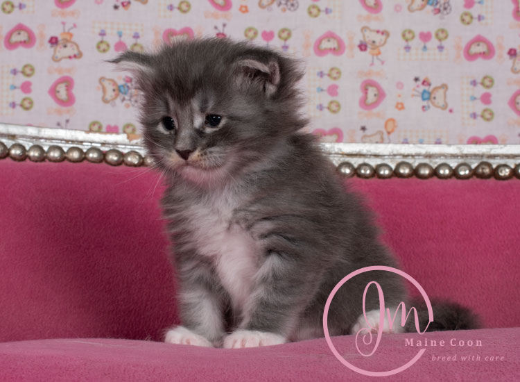 Manzanilla_week03_days_4_04