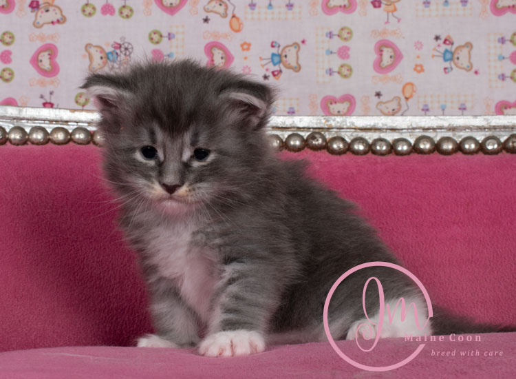 Manzanilla_week03_days_4_05