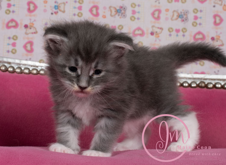 Manzanilla_week03_days_4_06