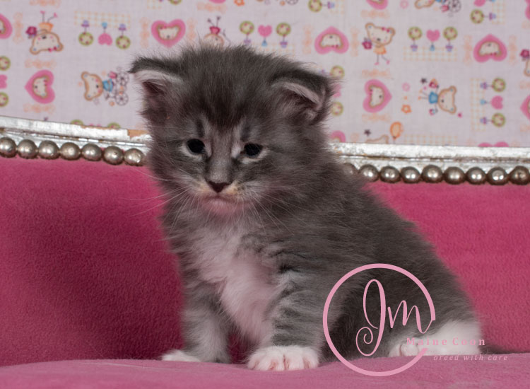 Manzanilla_week03_days_4_07