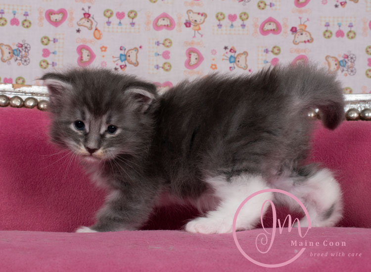 Manzanilla_week03_days_4_08