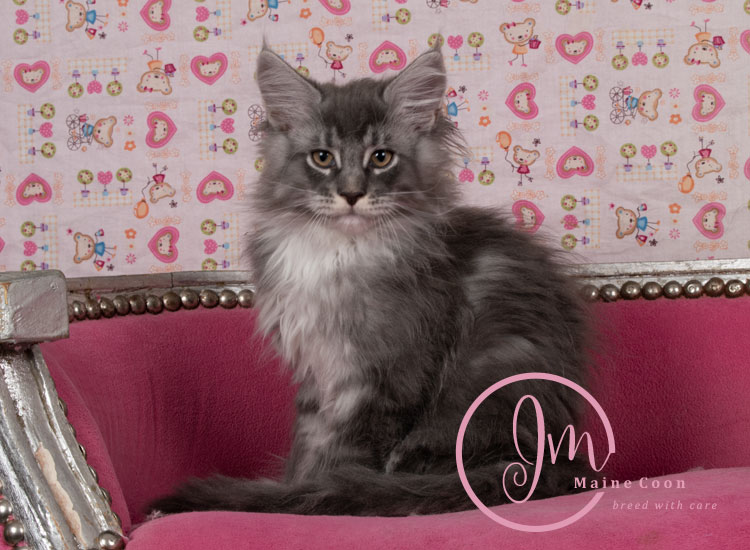 Manzanilla_week12_03