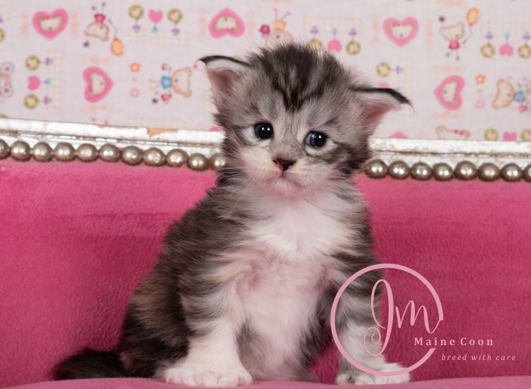 Jelly_Beans_weeks03_03