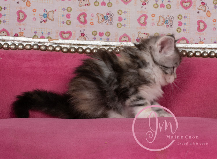 Jelly_Beans_weeks05_01